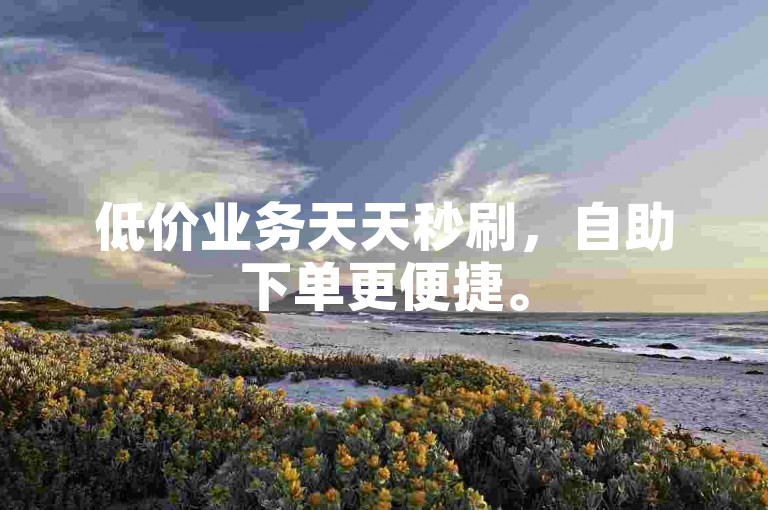 低价业务天天秒刷，自助下单更便捷。