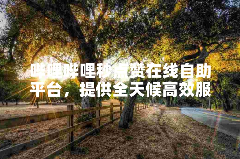 哔哩哔哩秒点赞在线自助平台，提供全天候高效服务。