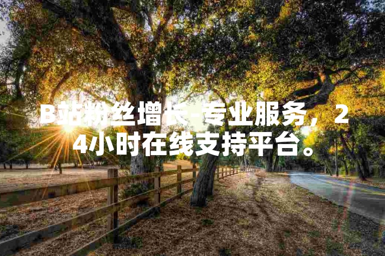 B站粉丝增长-专业服务，24小时在线支持平台。