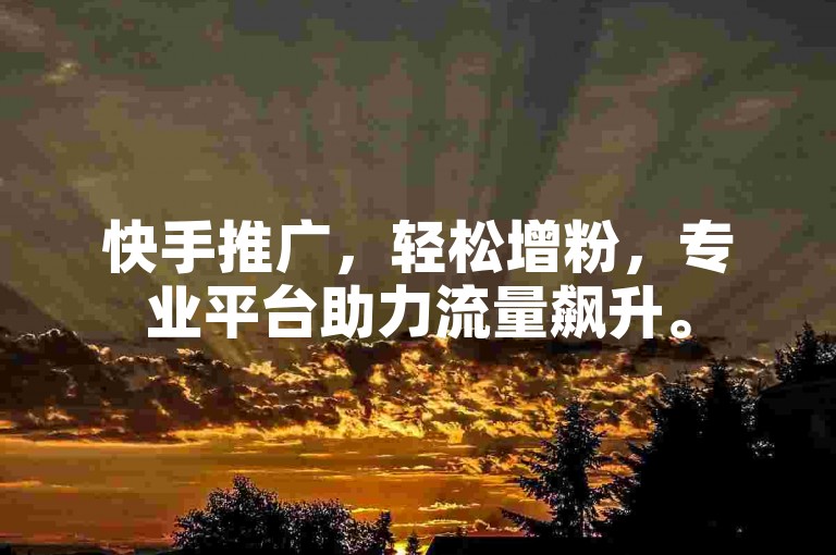 快手推广，轻松增粉，专业平台助力流量飙升。