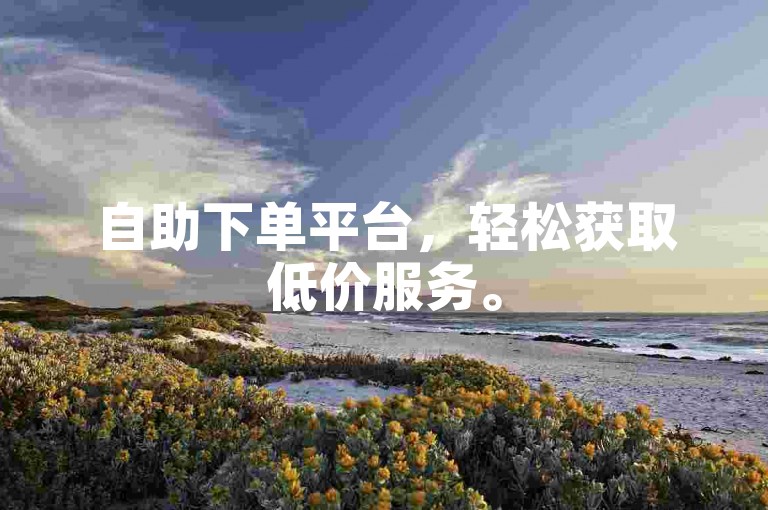 自助下单平台，轻松获取低价服务。