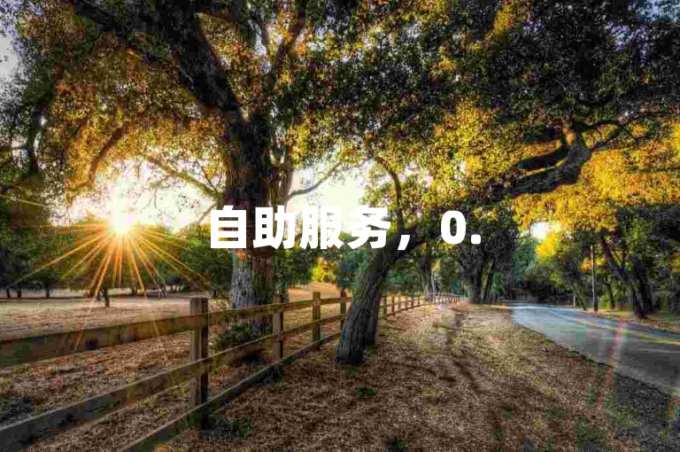 自助服务，0.5元轻松获得1000赞。