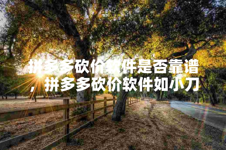 拼多多砍价软件是否靠谱，拼多多砍价软件如小刀助手、吾爱助力网和拼多多砍价神器，通过自动砍价和真人助力功能帮助用户低价购得商品。这些工具提高了砍价效率，但需注意其合法性和安全性。