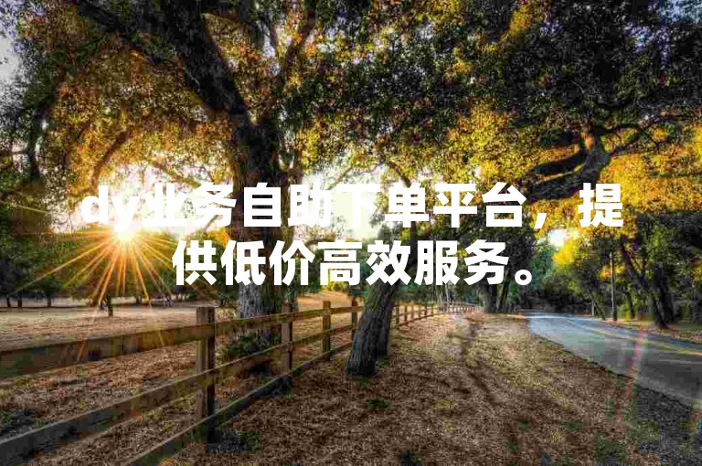 dy业务自助下单平台，提供低价高效服务。