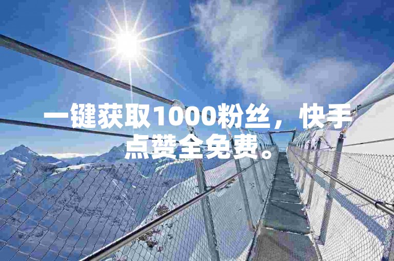 一键获取1000粉丝，快手点赞全免费。
