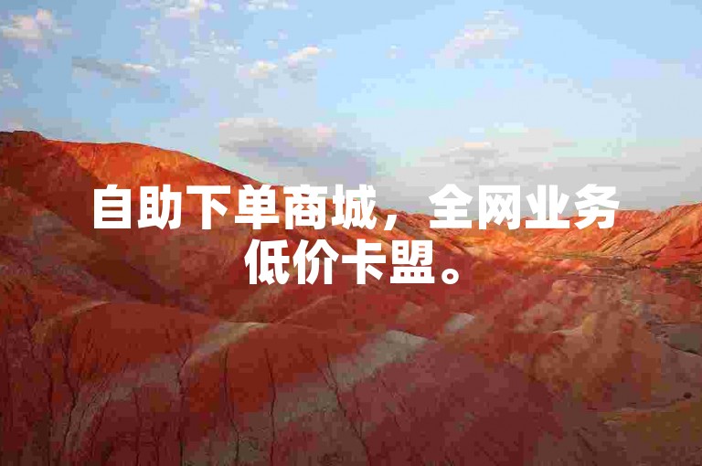 自助下单商城，全网业务低价卡盟。