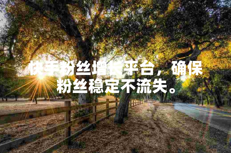 快手粉丝增长平台，确保粉丝稳定不流失。