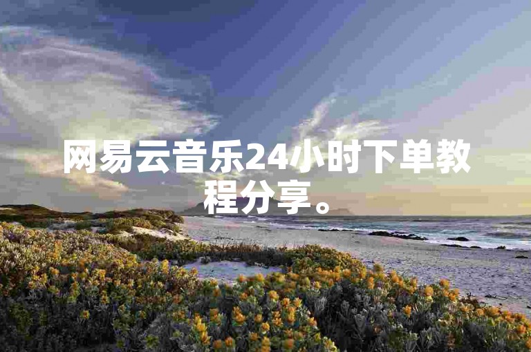 网易云音乐24小时下单教程分享。