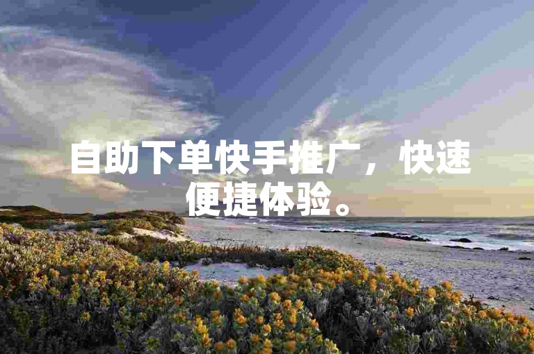 自助下单快手推广，快速便捷体验。