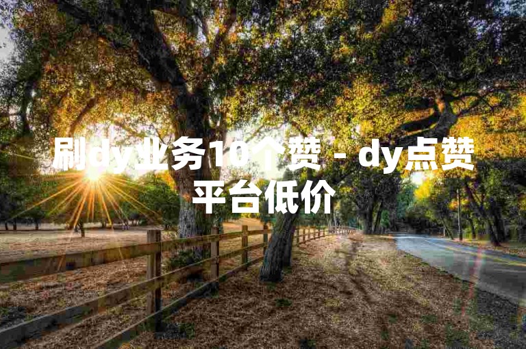 刷dy业务10个赞 - dy点赞平台低价
