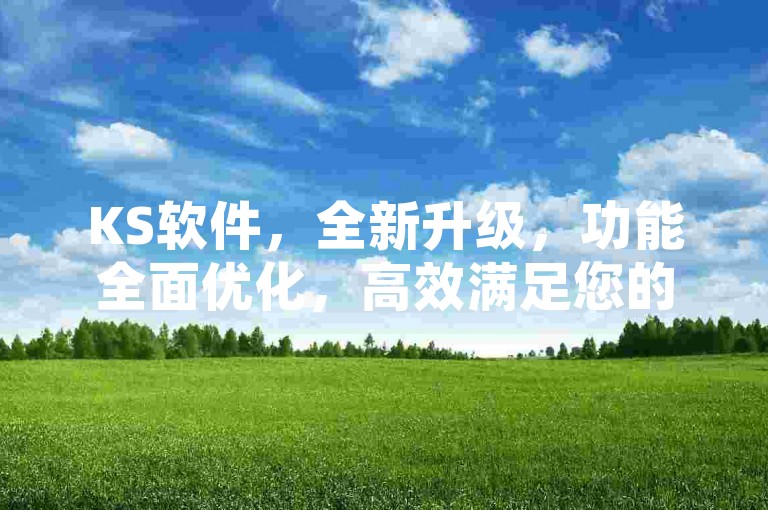 KS软件，全新升级，功能全面优化，高效满足您的工作需求。