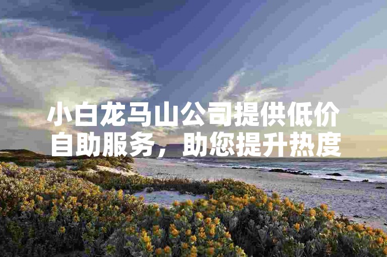 小白龙马山公司提供低价自助服务，助您提升热度。