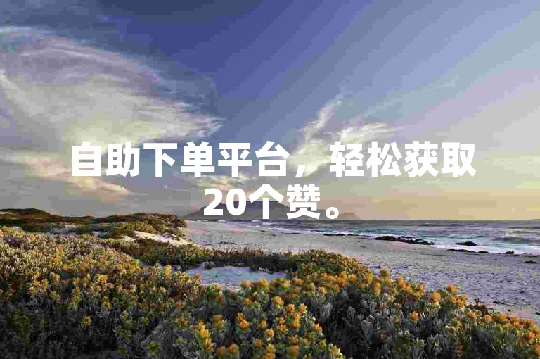 自助下单平台，轻松获取20个赞。