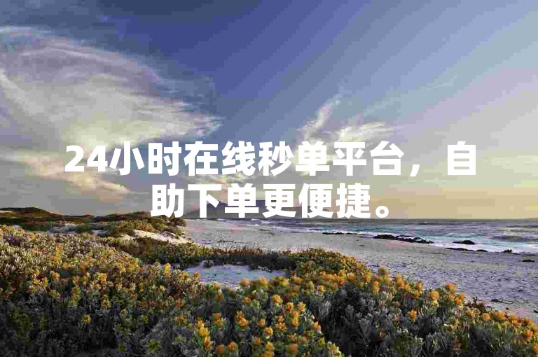 24小时在线秒单平台，自助下单更便捷。
