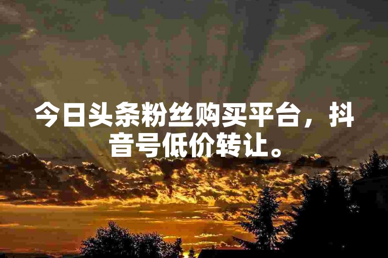 今日头条粉丝购买平台，抖音号低价转让。
