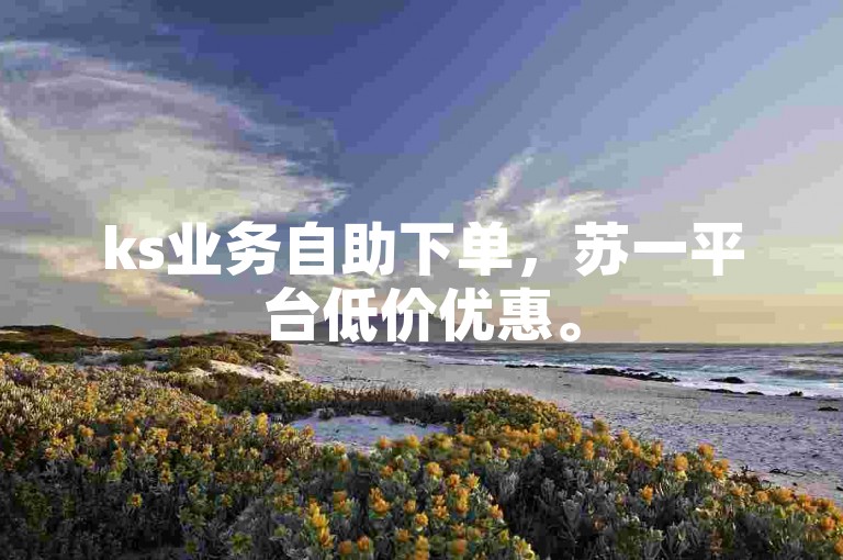 ks业务自助下单，苏一平台低价优惠。