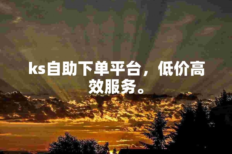 ks自助下单平台，低价高效服务。