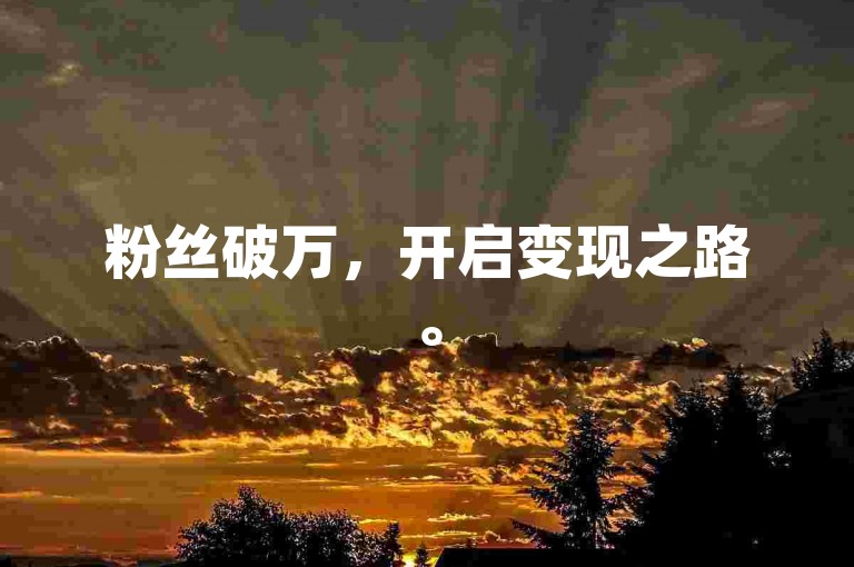 粉丝破万，开启变现之路。