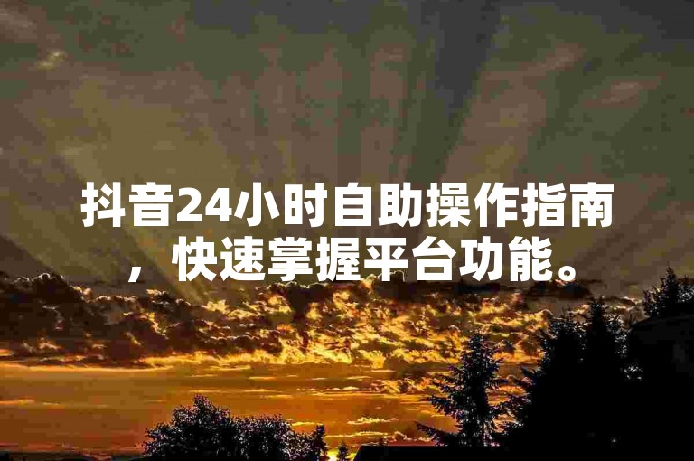 抖音24小时自助操作指南，快速掌握平台功能。