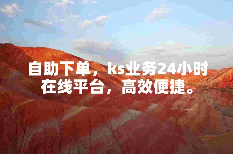 自助下单，ks业务24小时在线平台，高效便捷。
