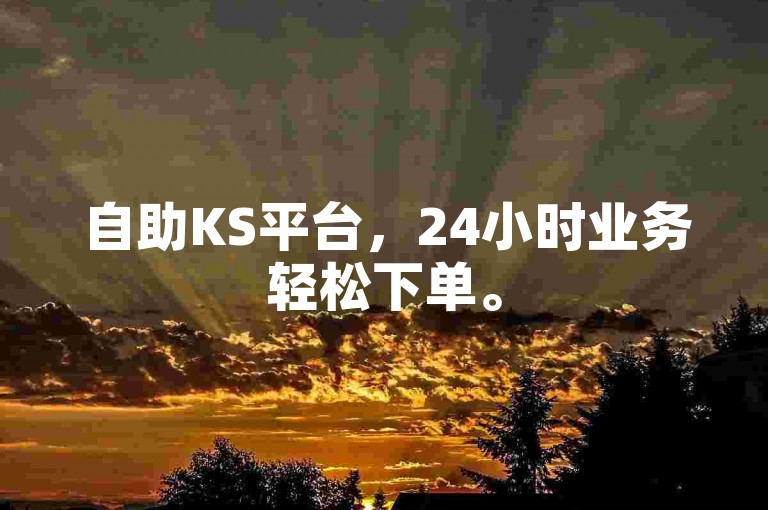 自助KS平台，24小时业务轻松下单。