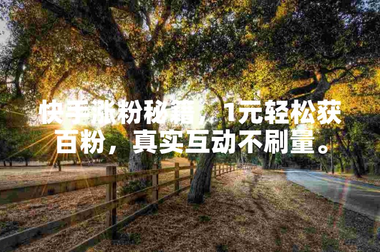 快手涨粉秘籍，1元轻松获百粉，真实互动不刷量。