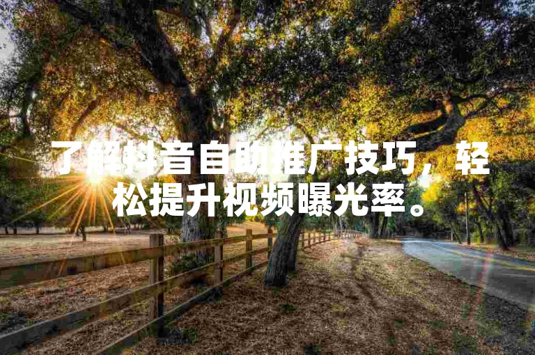 了解抖音自助推广技巧，轻松提升视频曝光率。
