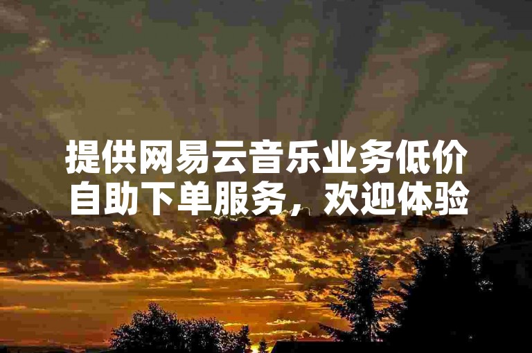 提供网易云音乐业务低价自助下单服务，欢迎体验。