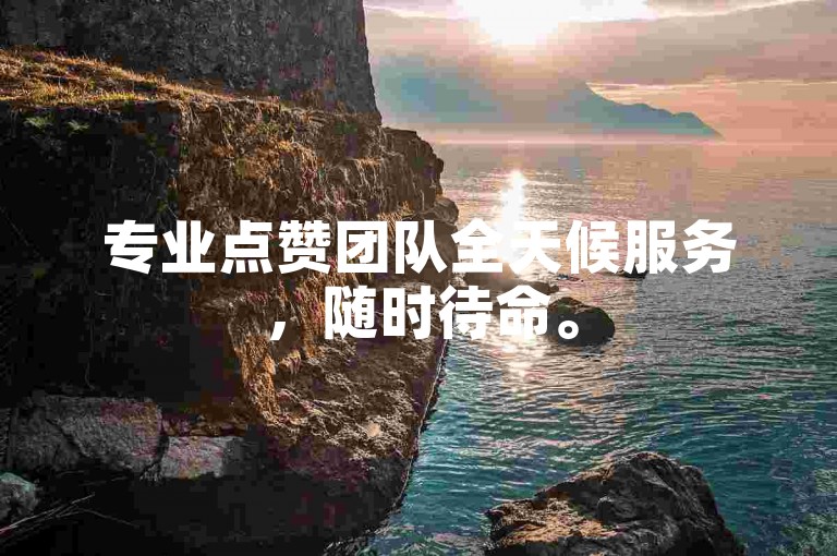 专业点赞团队全天候服务，随时待命。