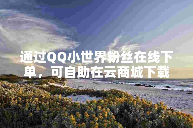 通过QQ小世界粉丝在线下单，可自助在云商城下载所需内容。