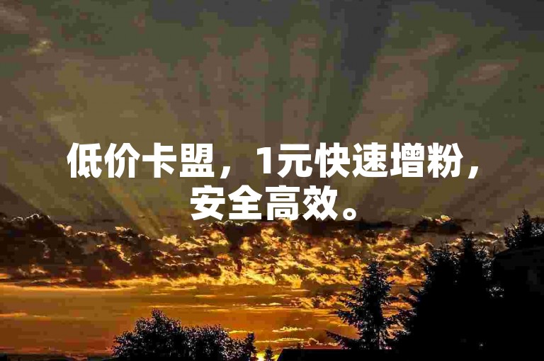 低价卡盟，1元快速增粉，安全高效。