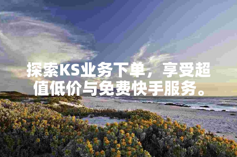 探索KS业务下单，享受超值低价与免费快手服务。