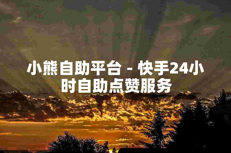 小熊自助平台 - 快手24小时自助点赞服务