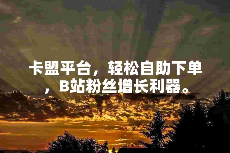 卡盟平台，轻松自助下单，B站粉丝增长利器。
