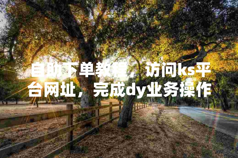 自助下单教程，访问ks平台网址，完成dy业务操作。