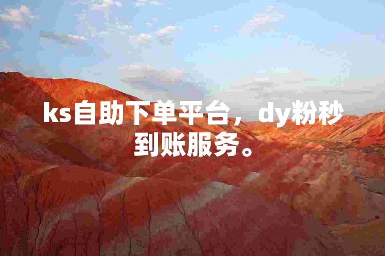 ks自助下单平台，dy粉秒到账服务。