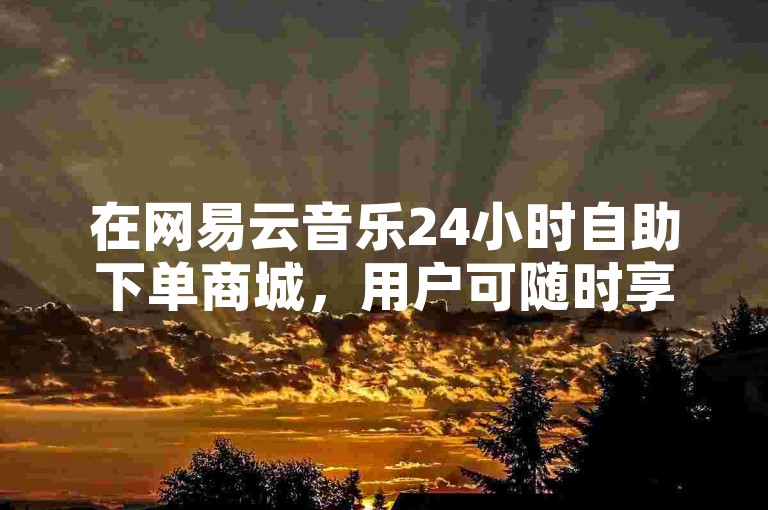 在网易云音乐24小时自助下单商城，用户可随时享受购物便利。