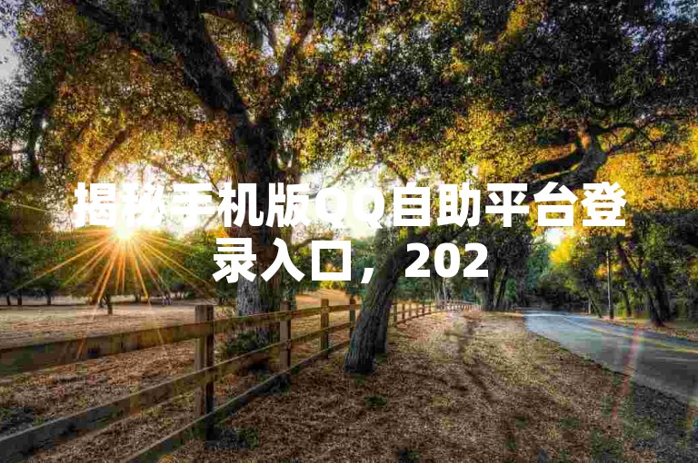 揭秘手机版QQ自助平台登录入口，2025年必备指南！