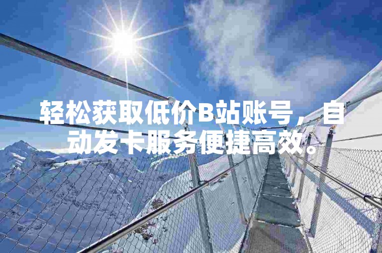轻松获取低价B站账号，自动发卡服务便捷高效。
