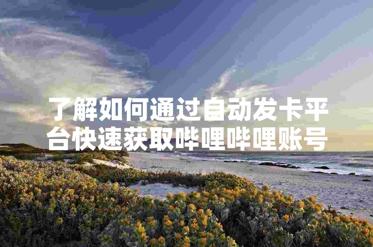 了解如何通过自动发卡平台快速获取哔哩哔哩账号，提升您的网络影响力。