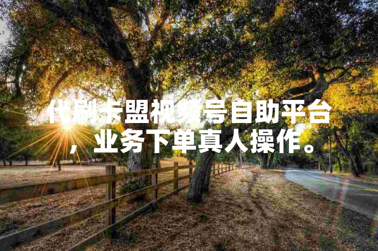 代刷卡盟视频号自助平台，业务下单真人操作。