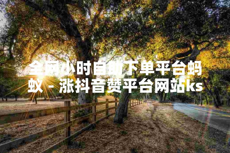 全网小时自助下单平台蚂蚁 - 涨抖音赞平台网站ks