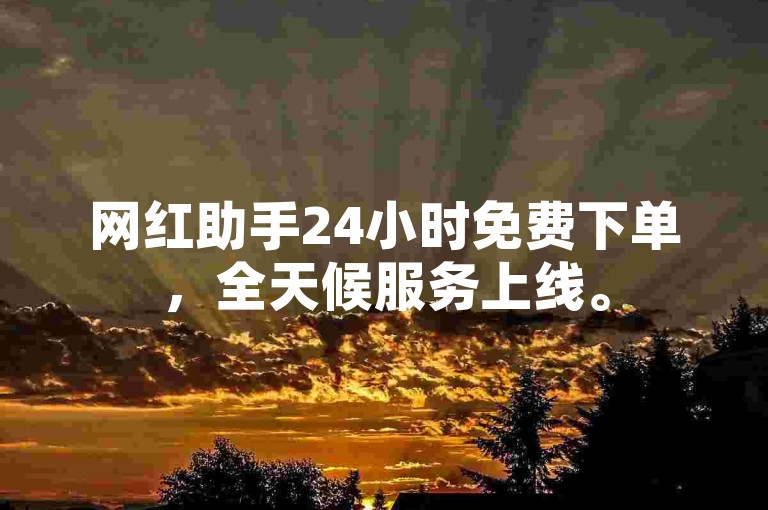 网红助手24小时免费下单，全天候服务上线。