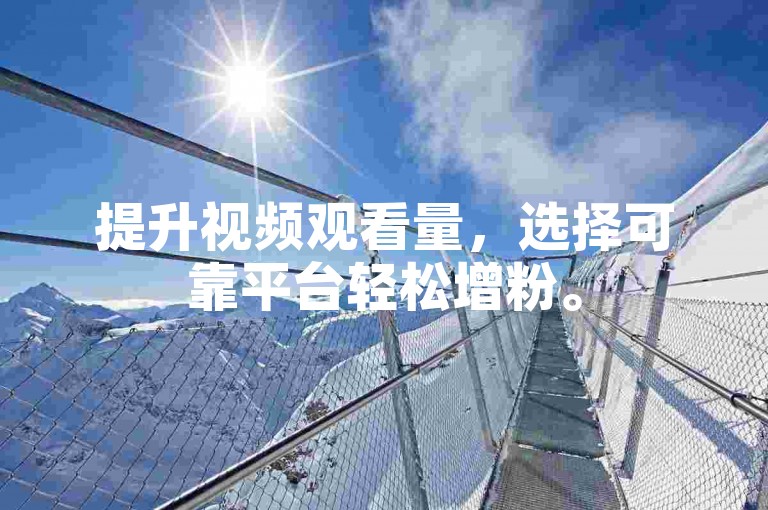 提升视频观看量，选择可靠平台轻松增粉。