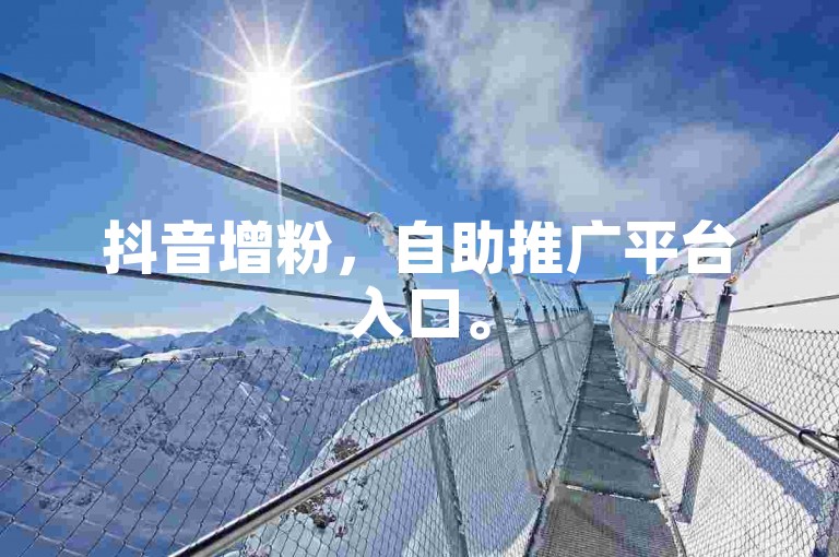 抖音增粉，自助推广平台入口。