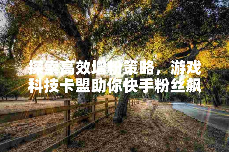 探索高效增粉策略，游戏科技卡盟助你快手粉丝飙升。