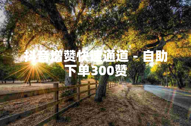 抖音增赞快速通道 - 自助下单300赞
