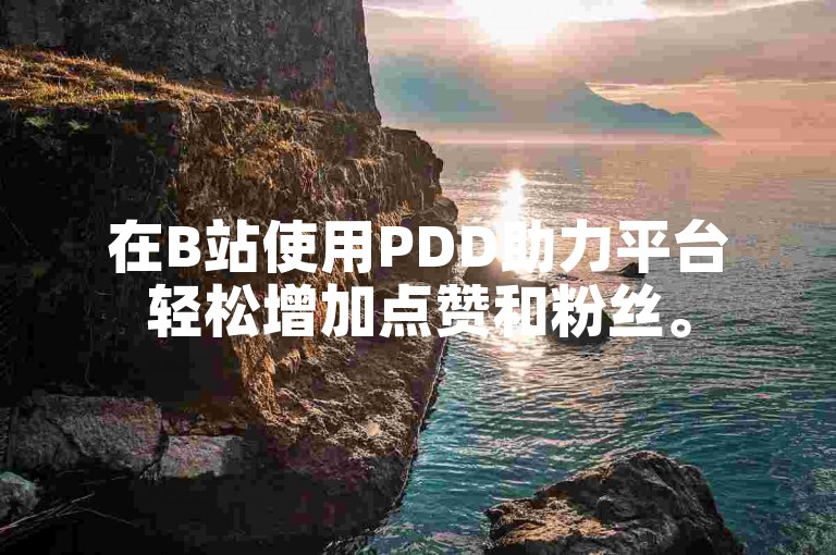 在B站使用PDD助力平台轻松增加点赞和粉丝。