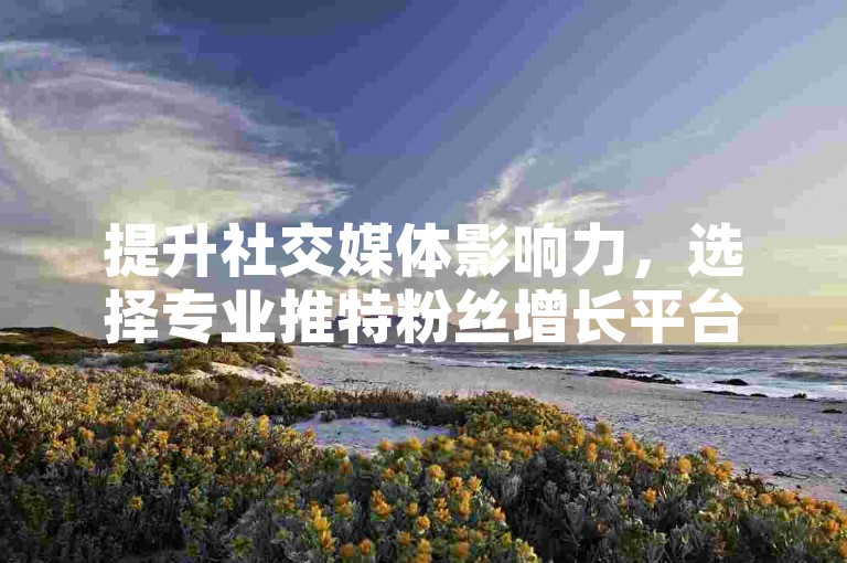 提升社交媒体影响力，选择专业推特粉丝增长平台。