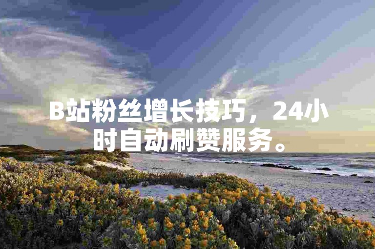 B站粉丝增长技巧，24小时自动刷赞服务。